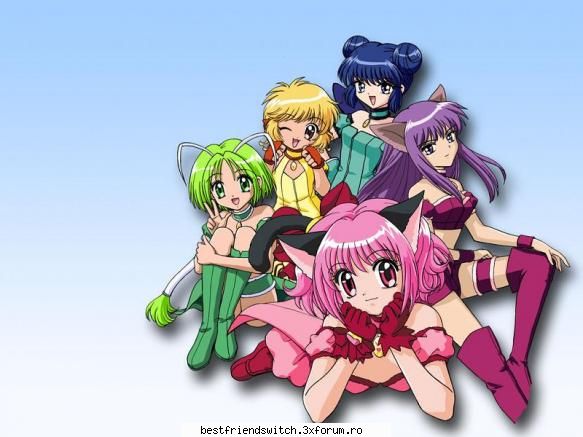 grupul...2 team mew mew